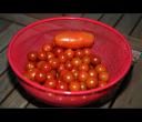 fc_5786-tomaten.jpg