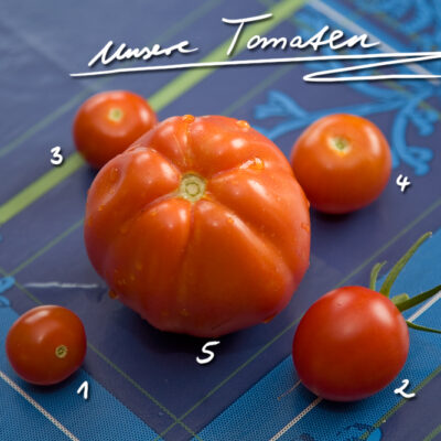 Unsere Tomaten