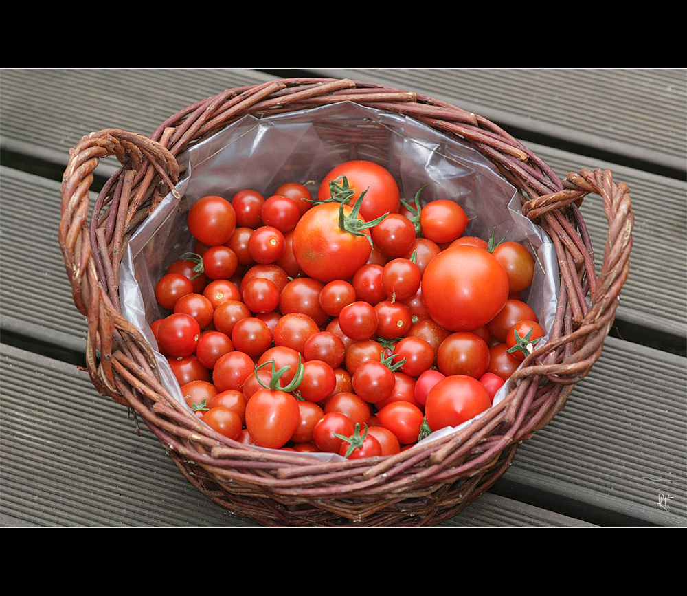 tomaten_7662.jpg