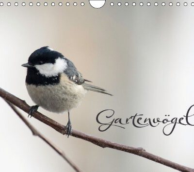 Gartenvögel – Mein erster Kalender ist verfügbar!