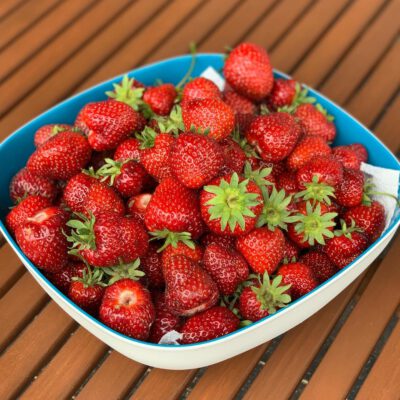 Erdbeeren und Rhabarber